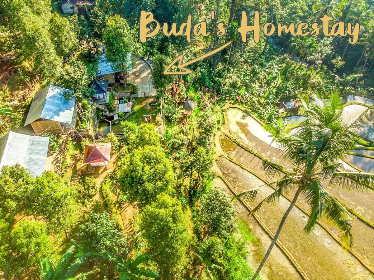Buda'S Homestay Lemukih 布莱伦 外观 照片